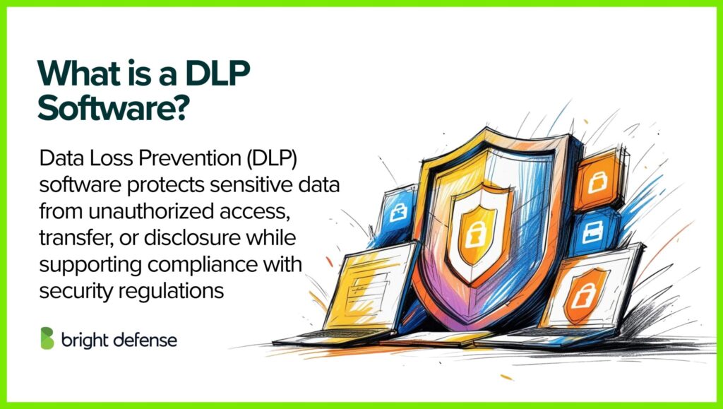 What is a DLP Software