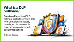 Data Loss: Causes, Consequences, and 7 Prevention Tips