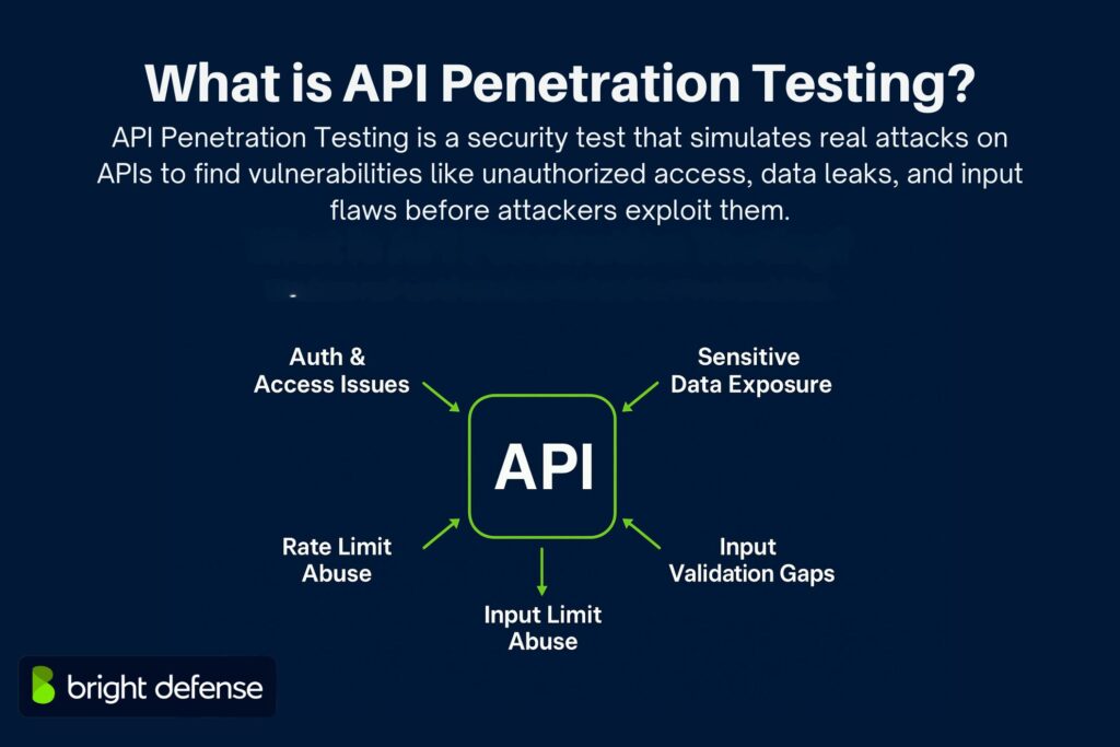 What is API Penetration Testing