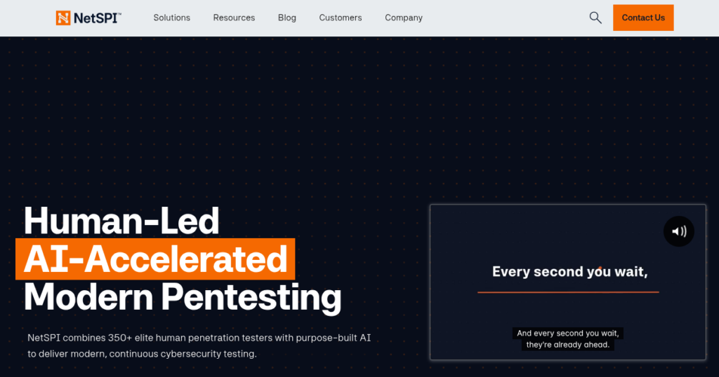 Penetration Testing Company NetSPI Homepage