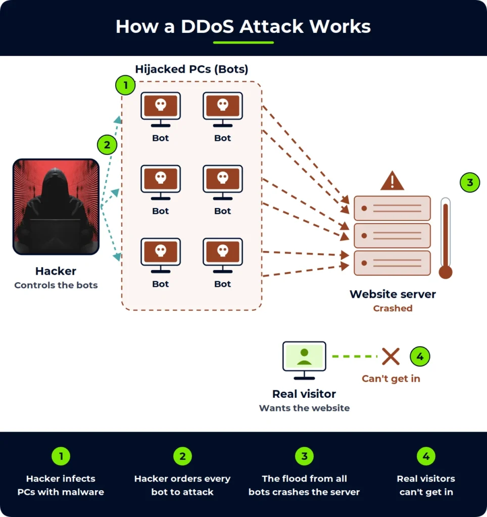 Animated Bright Defense diagram showing how a DDoS attack works, where a hooded hacker at a laptop infects six PCs with malware, orders the bots to flood a website server at once until it crashes, and a real visitor can't get in.